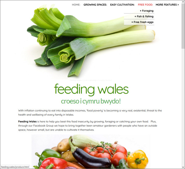 Feeding Wales community project